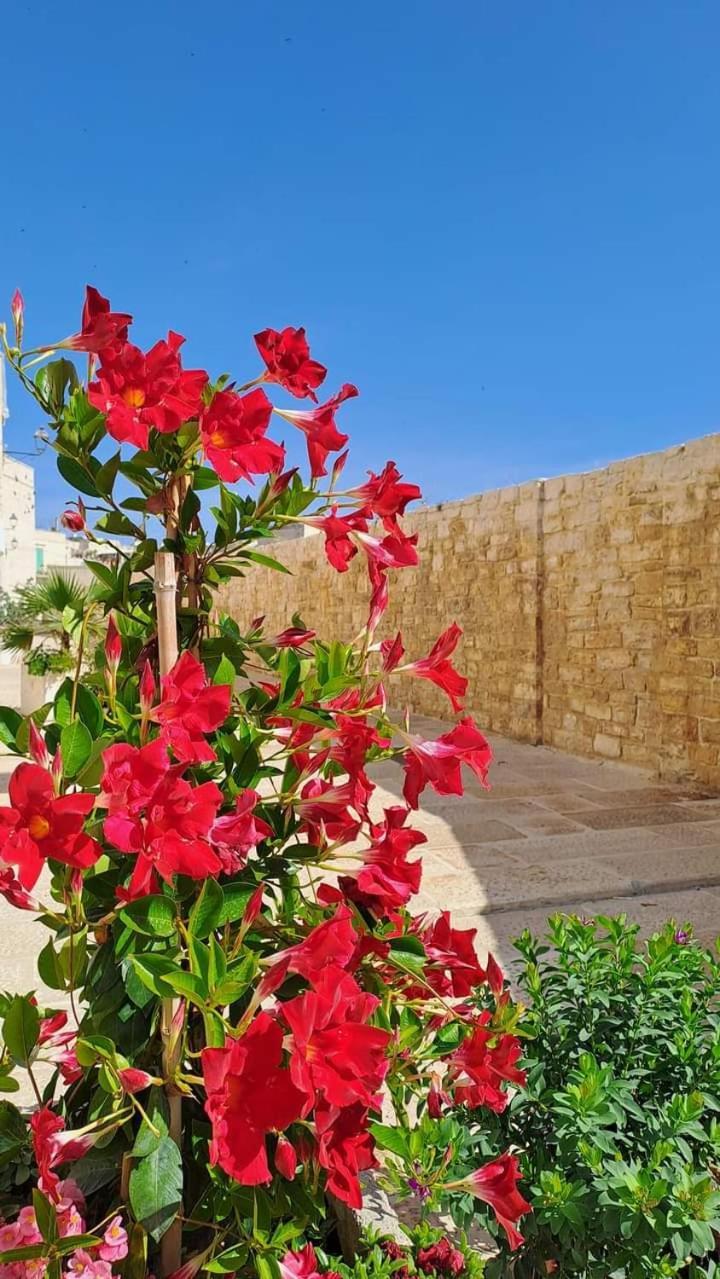 H2O Giovinazzo Villa Exterior foto